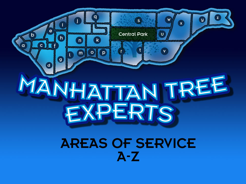 Manhattan-Map