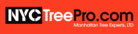 affordable tree service nyc