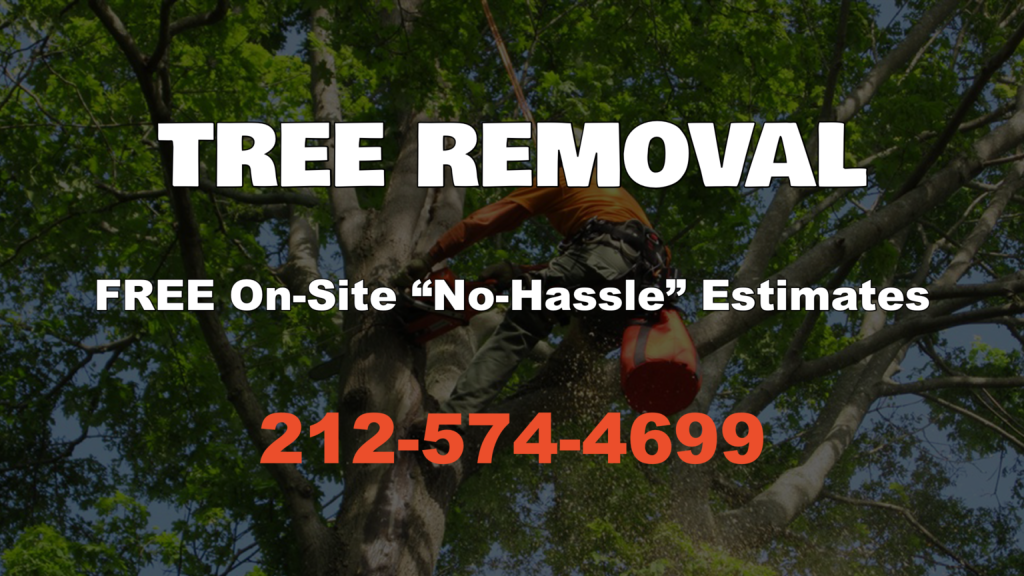 best tree removal nyc