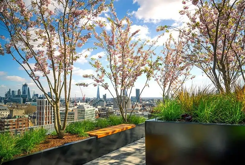Tree Emergencies in NYC High-Rise Buildings: Rooftop & Terrace Tree Care Challenges